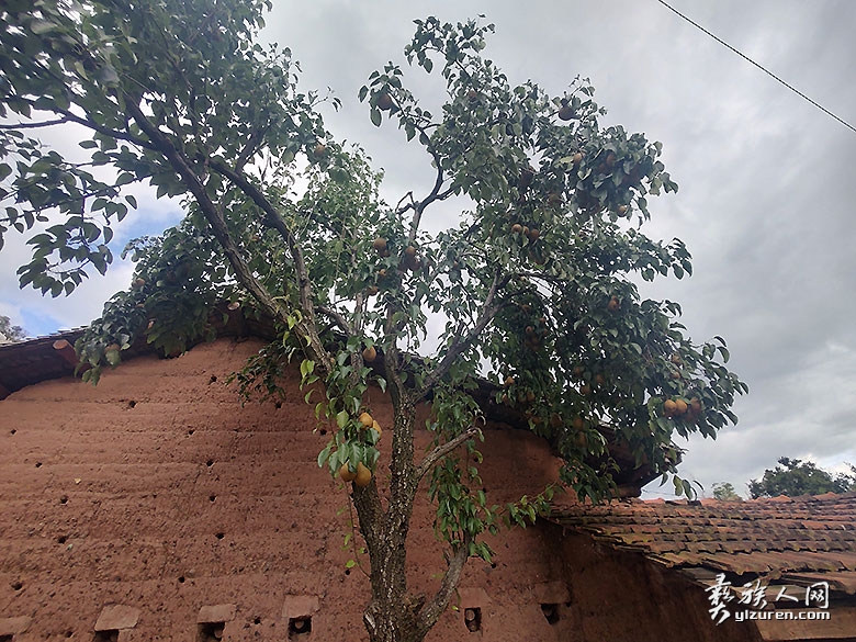 1756261526161831.jpg 20250724223507.jpg