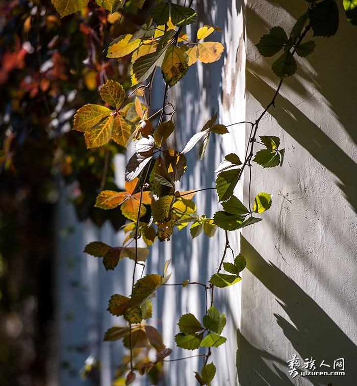 1756607587389802.jpg DSC_9376.jpg