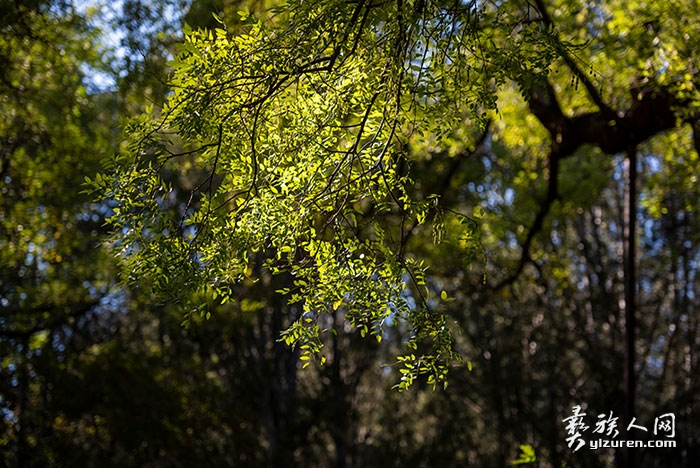 1756607609286311.jpg dDSC_9333.jpg