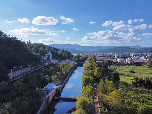 卞育能|故乡的柳树菌