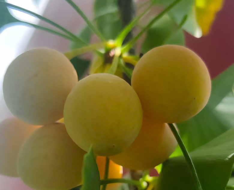 1756897531710978.jpg 1756897531710978.jpg