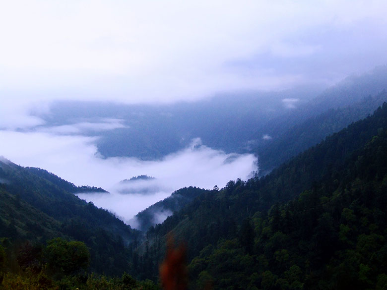 1757652634969666.jpg 1757652634969666.jpg