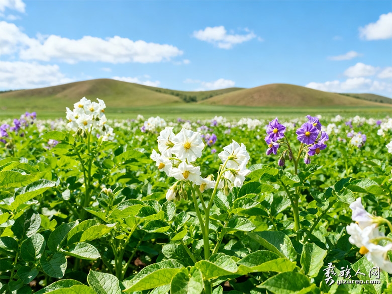 1758381499233897.jpg 1758381499233897.jpg