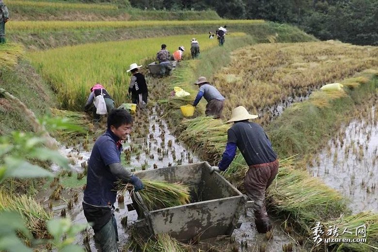 1758631143975145.jpg 1758631143975145.jpg