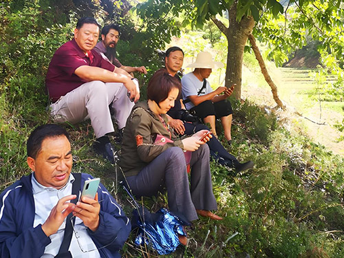 普显宏|沙桥纪行