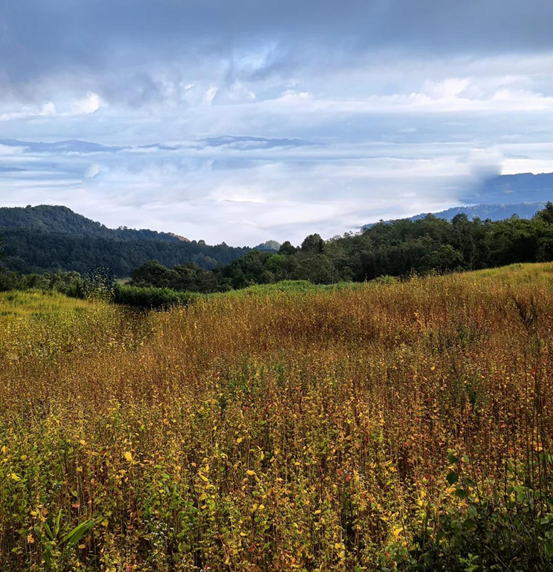 1759619890618718.jpg 1759619890618718.jpg