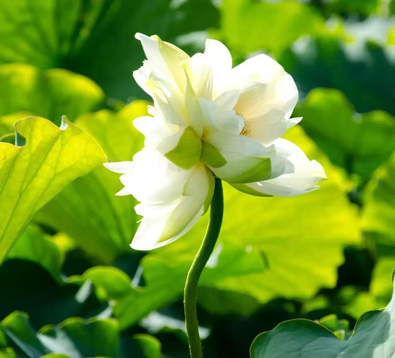 1760752963493342.jpg 12-2.jpg