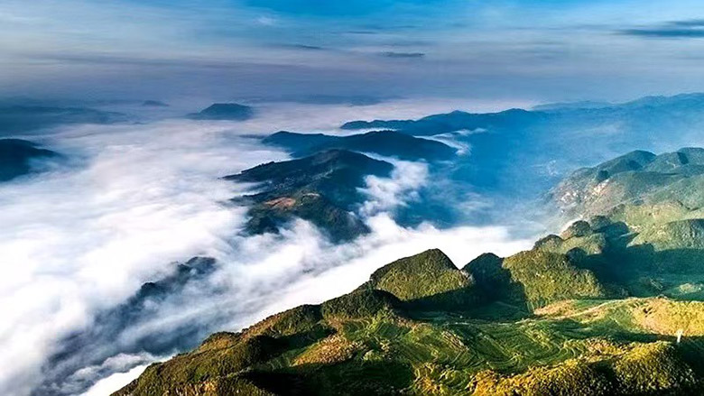 1760782295301196.jpg a07.jpg