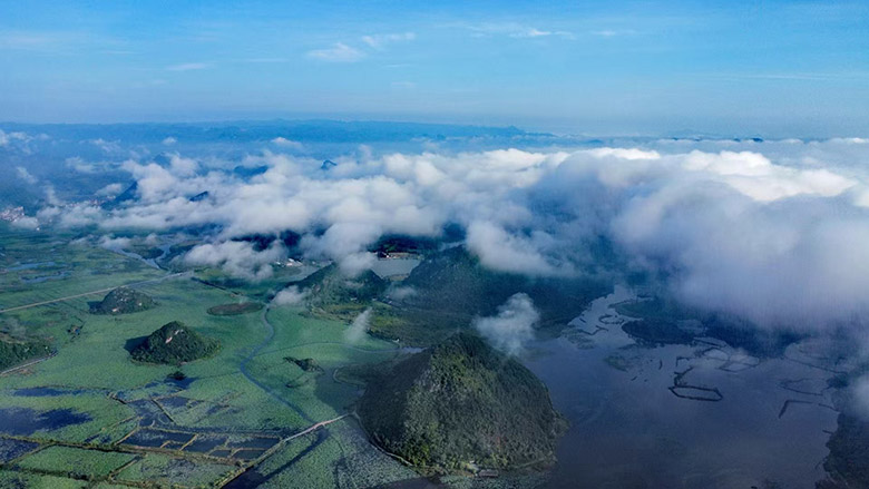 1760782303927335.jpg a10.jpg