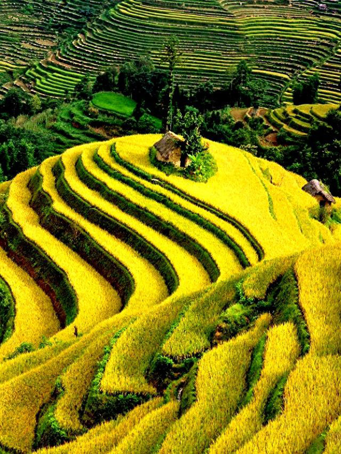 1760790665340919.jpg aaddauto.jpg