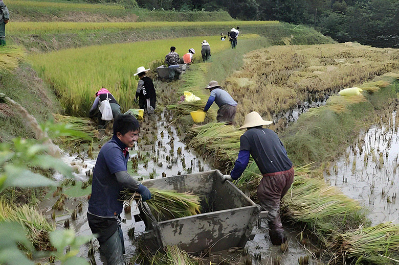 1760790736178186.jpg 1760790736178186.jpg