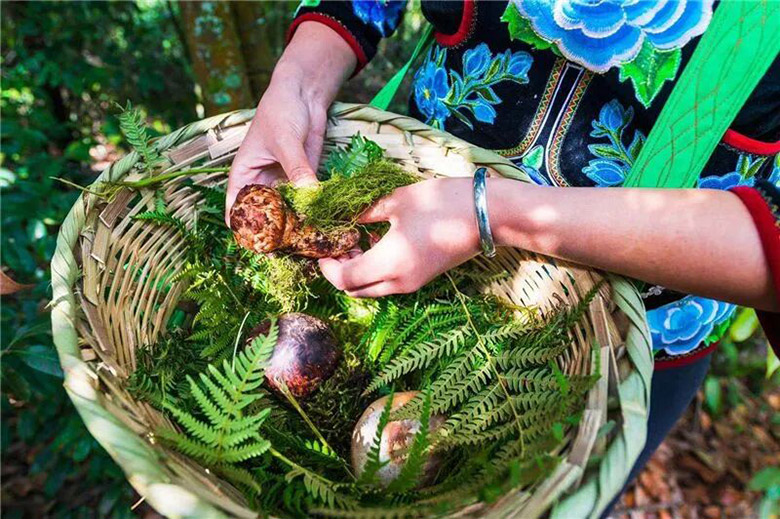 1760841817520297.jpg DM_20251019104156_001.jpg