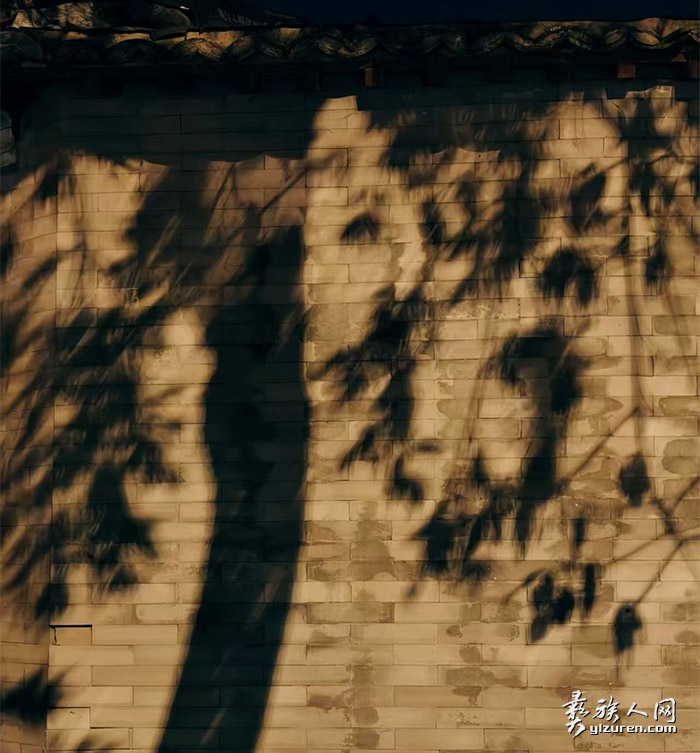 1760931889545667.jpg 1760931889545667.jpg