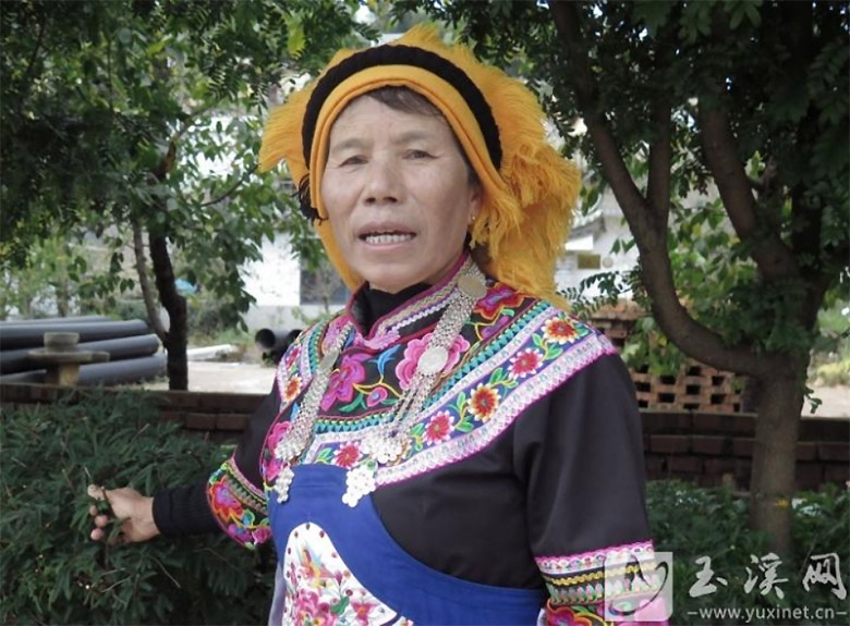 1761110837865821.jpg ppttd3.jpg