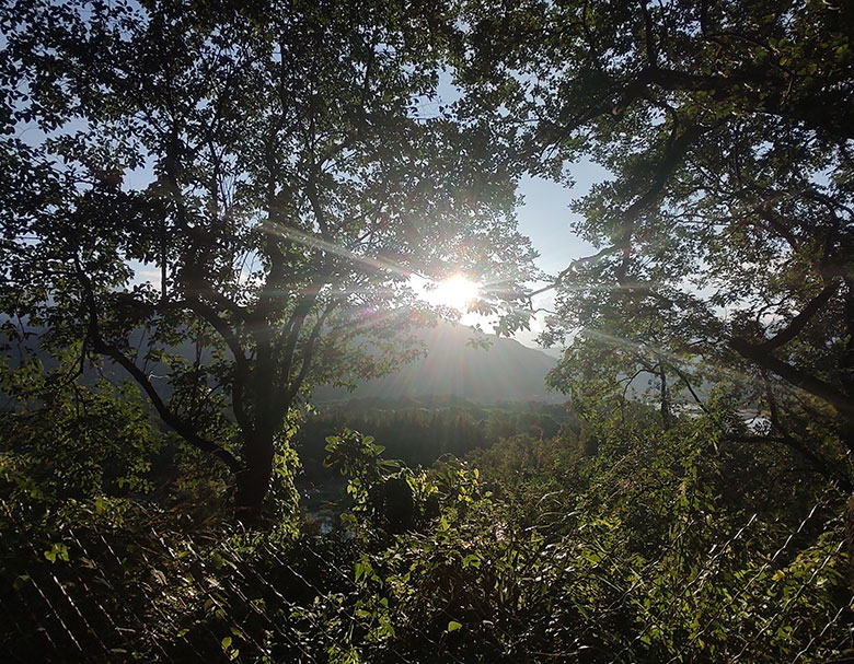 1761527521416651.jpg 1761527521416651.jpg