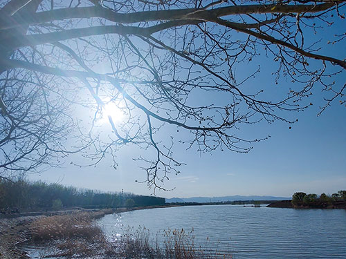 李慧媛:在文学与教育间耕耘的追光者