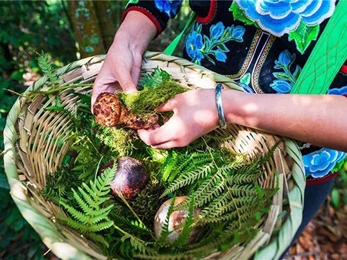 卞育能|故乡菌花开满山