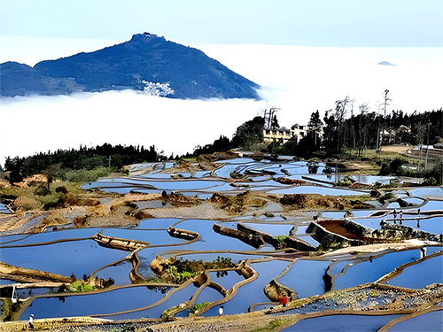 孔建庵|沁园春•元阳颂(三首)