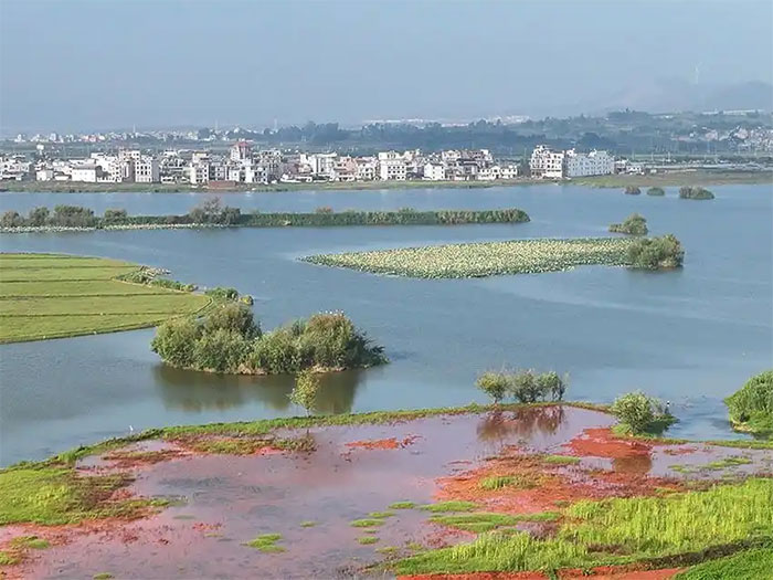 1762094660754234.jpg shidi2.jpg