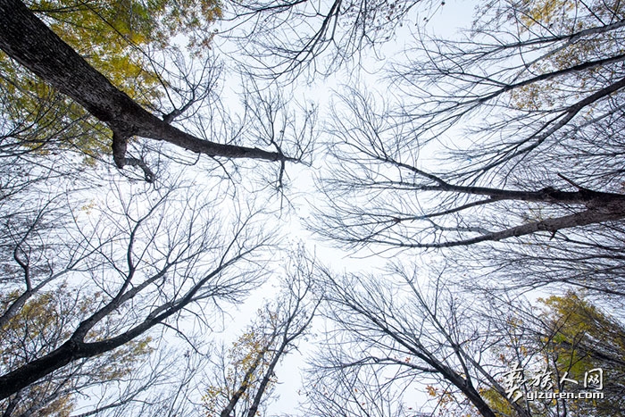 1762424052667810.jpg DSC_0653.jpg