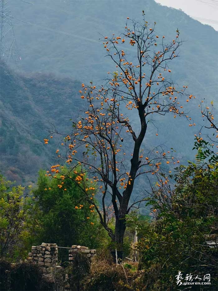 1762782357947792.jpg xiangcun2.jpg