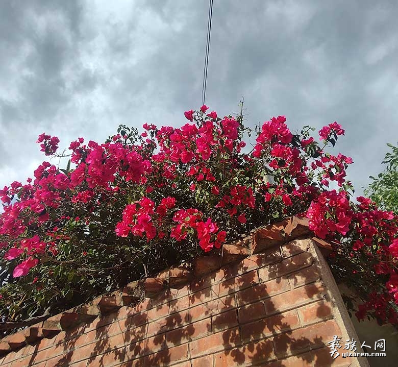 1762855066541035.jpg 1762855066541035.jpg