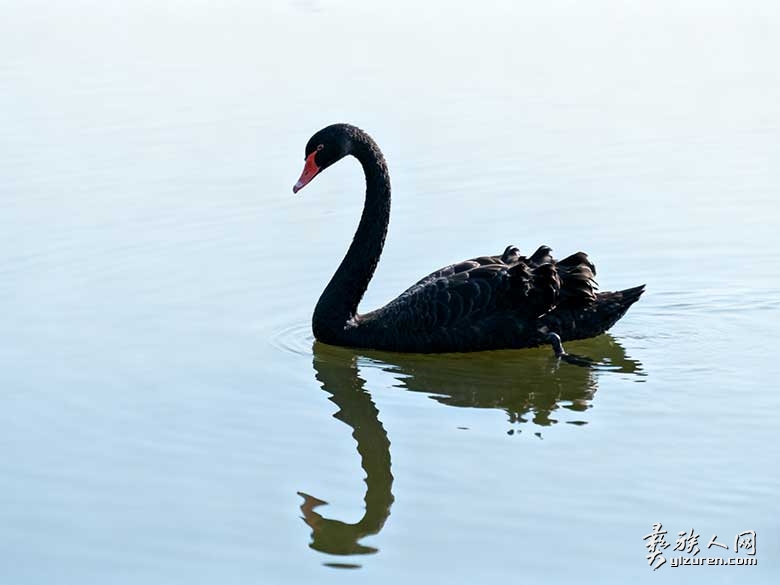 1762937507795454.jpg 1762937507795454.jpg