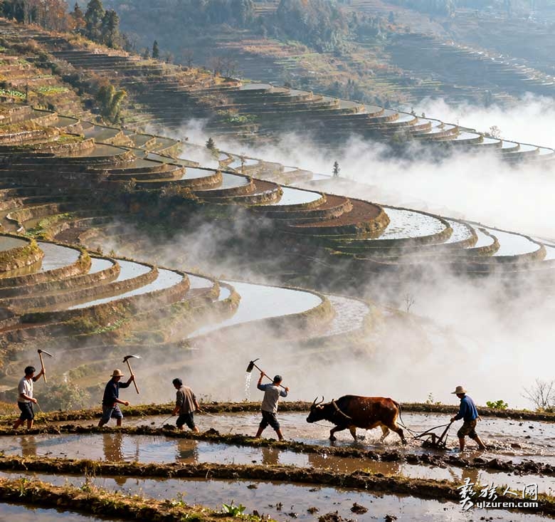 1763129735953360.jpg 18081470210261.jpg