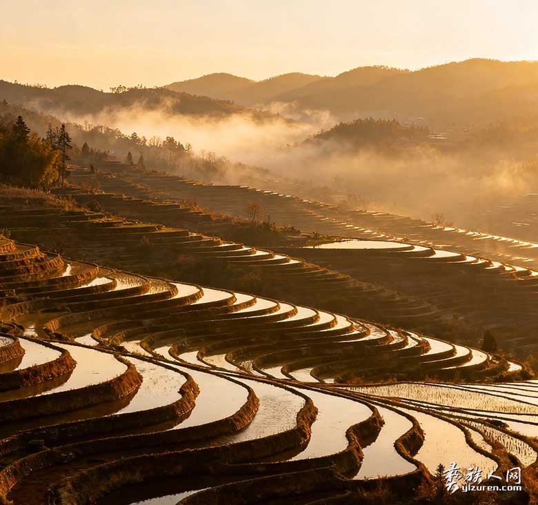 1763129746740758.jpg 18049780387870.jpg