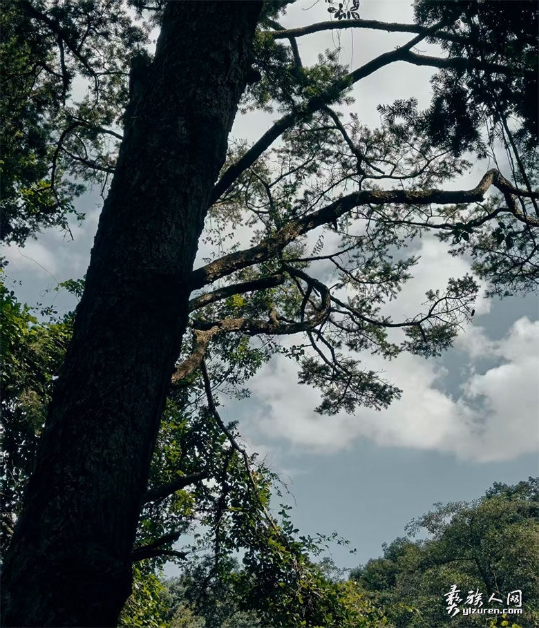 1763294845480970.jpg ctiand.jpg