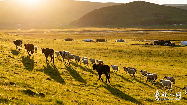 1763295446340934.jpg muchan.jpg