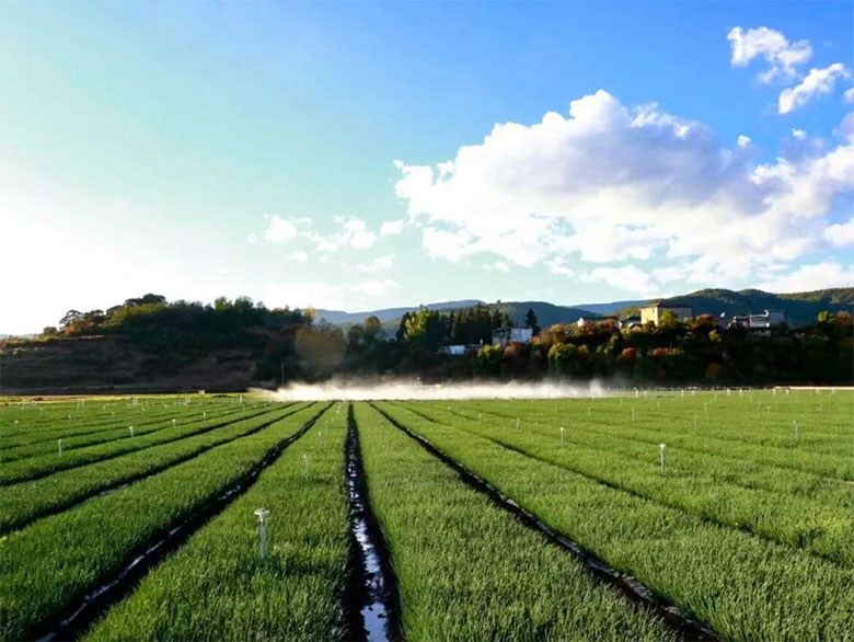 1763388808937963.jpg wuding1.jpg