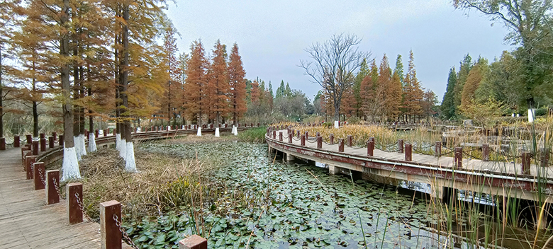 1763885429592720.jpg IMG20251121103121.jpg