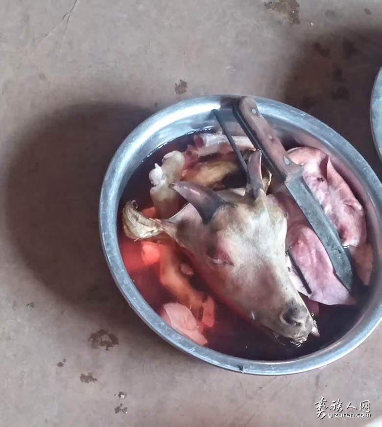 1764217382403095.jpg mmexport1764213617088.jpg