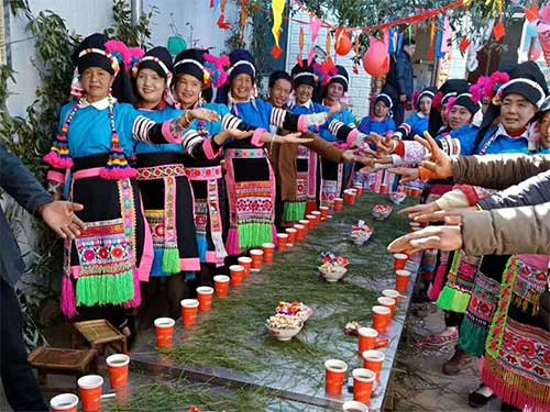 青棚映喜 文脉藏枝——禄丰彝村喜宴里的传承密码