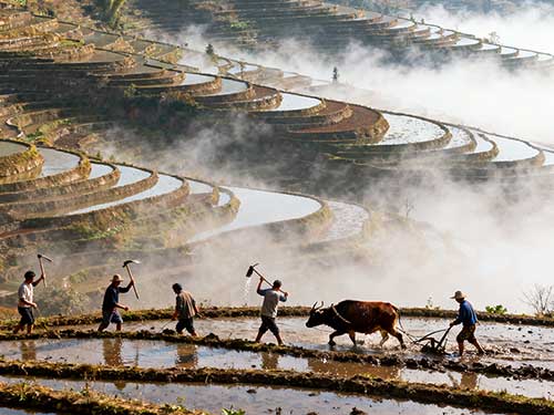 孔建庵|冬到梯田里的忙与暖