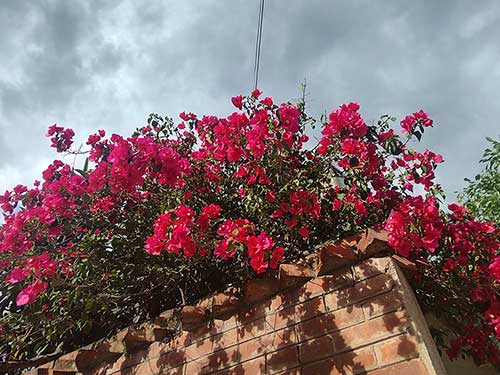 黄发能丨奔赴真实的快乐