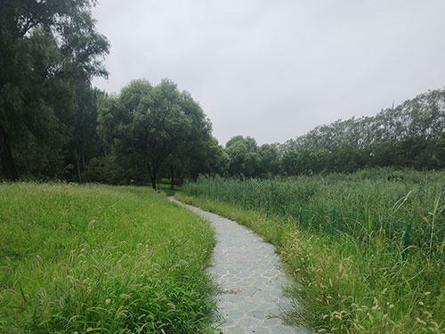 卞育能:又见到了敬仰的您(组诗)