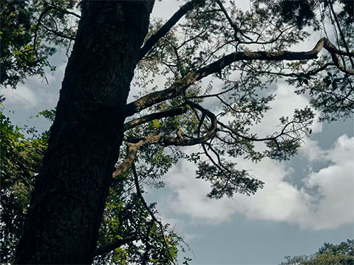 “阿倍”与“阿门”——记岳父的品德传承