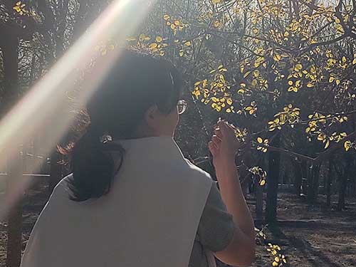 卞育能|流淌的诗意(外一首)