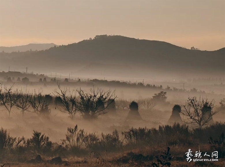 1765030594434931.jpg huangd1.jpg