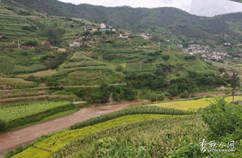 1765098742338674.jpg gimage001.jpg