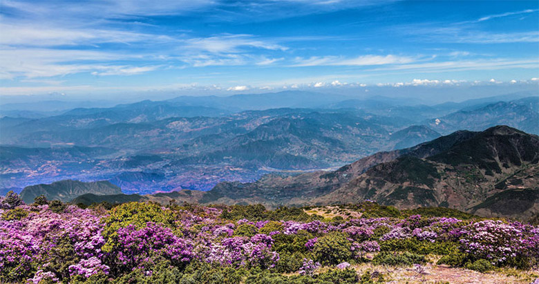 1765353979667416.jpg longzhoushan1.jpg