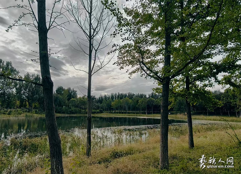 1765515599119107.jpg 1765515599119107.jpg