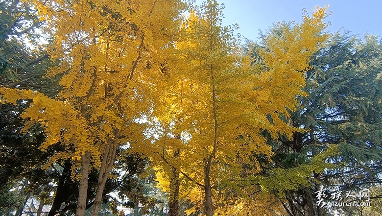 1765599377146576.jpg 1765599377146576.jpg