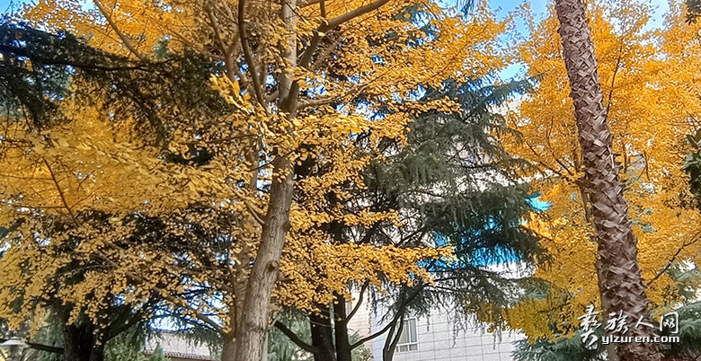 1765599391688686.jpg 1765599391688686.jpg