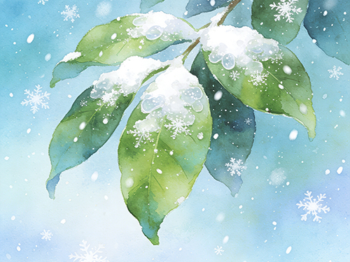 卞育能|飞雪清香