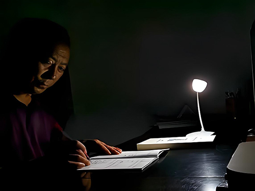 刘存荣|“不同季节的风景!”