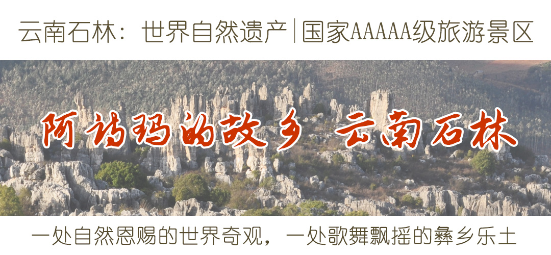 伟德平台 视野天下