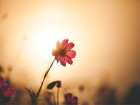 手留余香心盈暖，且把恩思托纸笔